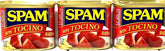 SPAM lata frontal mostrando el diseño y tamaño, práctico y confiable