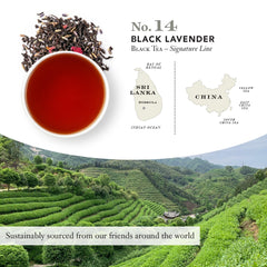 STEVEN SMITH TEAMAKER taza infusionando para apreciar aroma