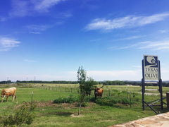 TEXAS HILL COUNTRY OLIVE CO. vista lateral de botella para apreciar presentación