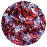 THE HAMPTON CANDY COMPANY bolsa frontal mostrando discos canela, práctico para compartir