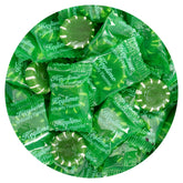 THE HAMPTON CANDY COMPANY bolsa frontal mostrando discos de lima, ideal para eventos