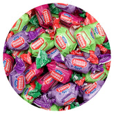The Hampton Popcorn Company bolsa frontal muestra 5 libras de chicles surtidos para fiestas