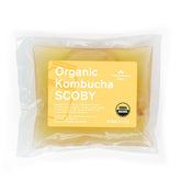 The Kombucha Shop vista frontal del kit, inicio rápido y fiable