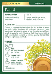 Traditional Medicinals taza de té humeante, bebida reconfortante