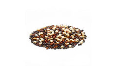 Yupik quinoa tricolor cucharada de textura esponjosa lista para servir