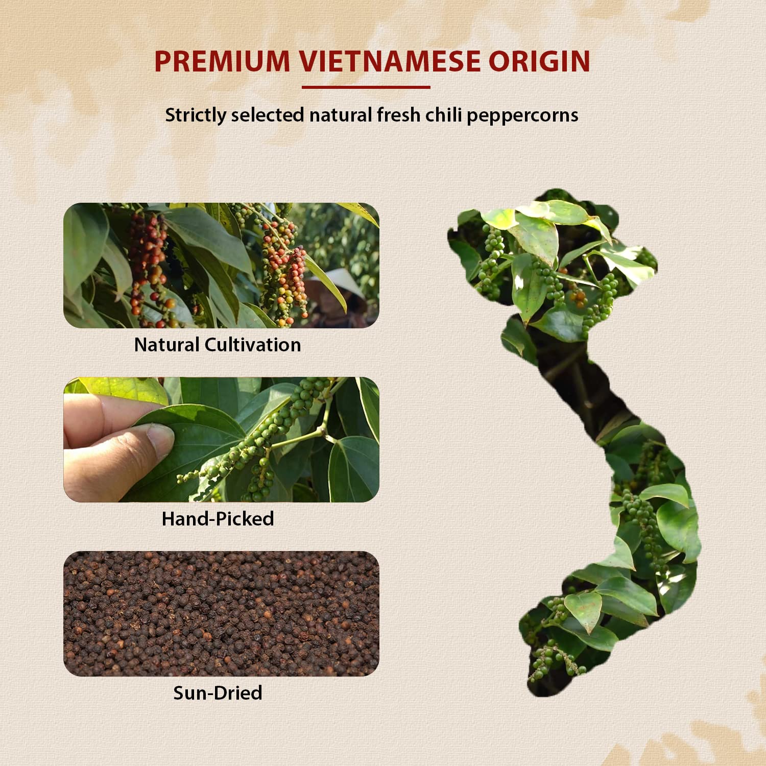 52usa.com vista aérea del contenido mixto mostrando variedad de granos