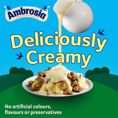 Ambrosia cuchara con custard mostrando textura cremosa y uniforme