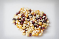 Amish Country Popcorn palomitas reventadas, textura crujiente y apetitosa