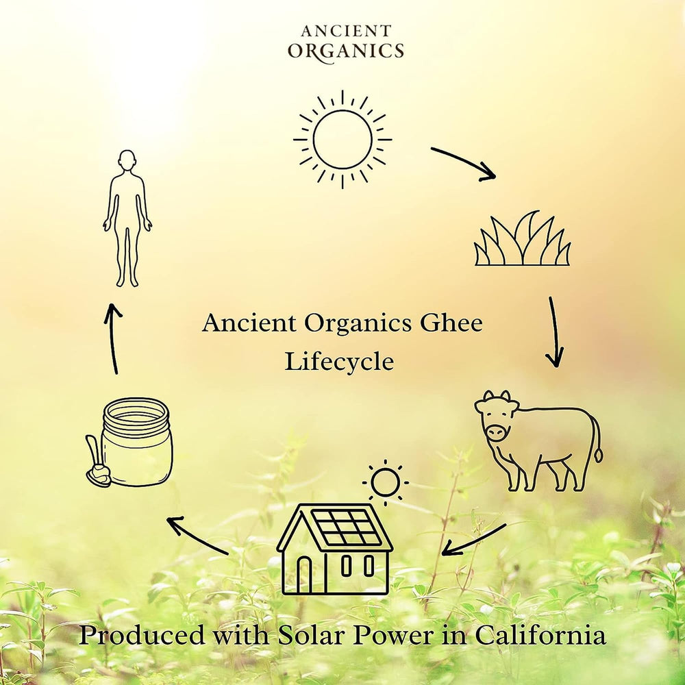 Ancient Organics ghee en cocina estilo hogar mostrando versatilidad culinaria