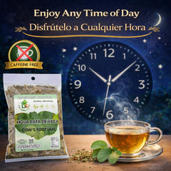 B-Experts taza preparada con té, bebida lista y relajante