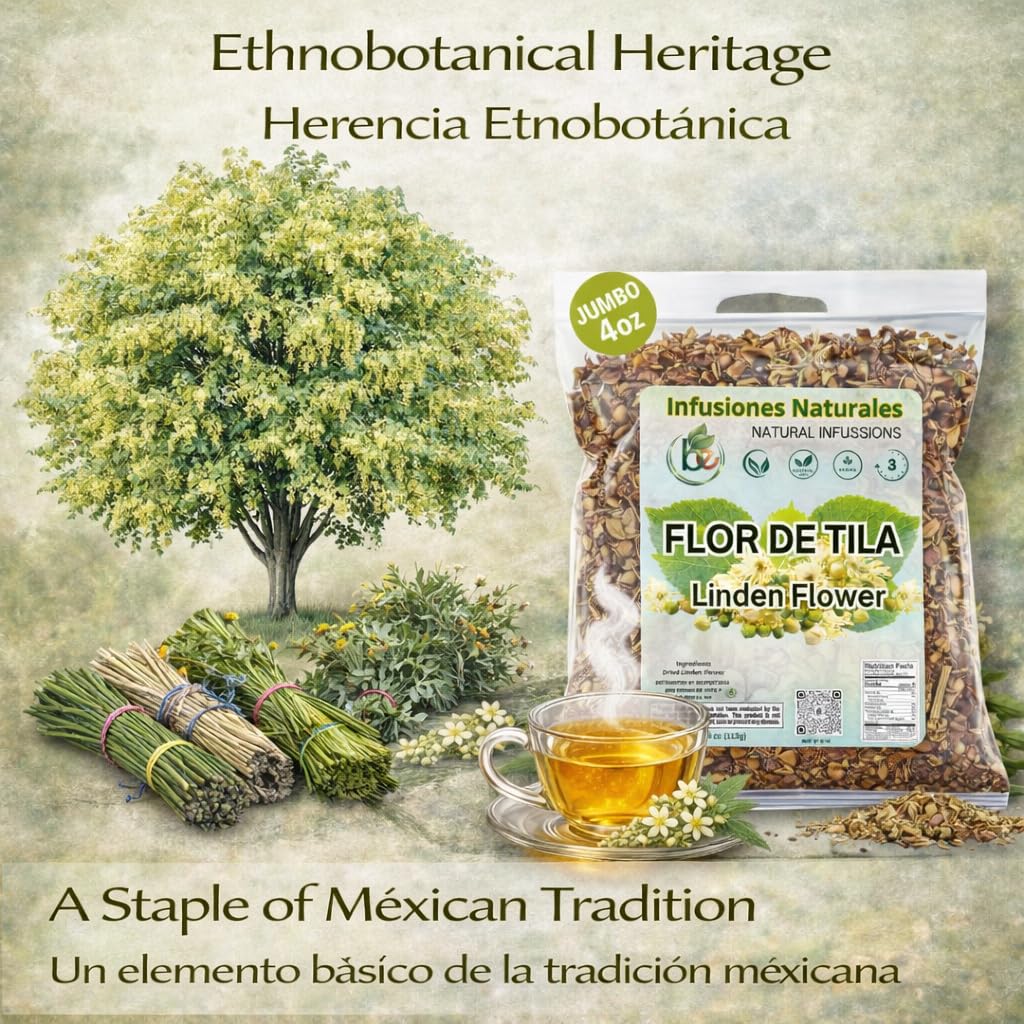 B-Experts tila en bosque origen resaltando recolección silvestre ética