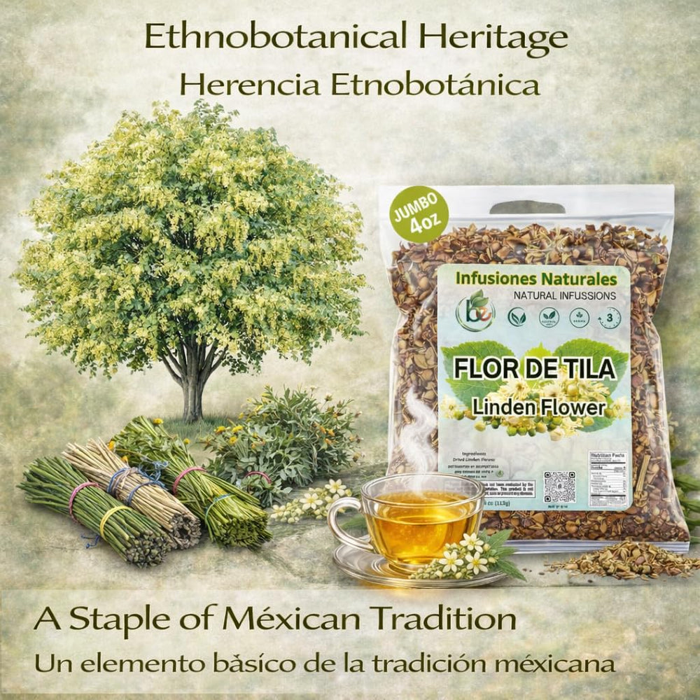 B-Experts tila en bosque origen resaltando recolección silvestre ética