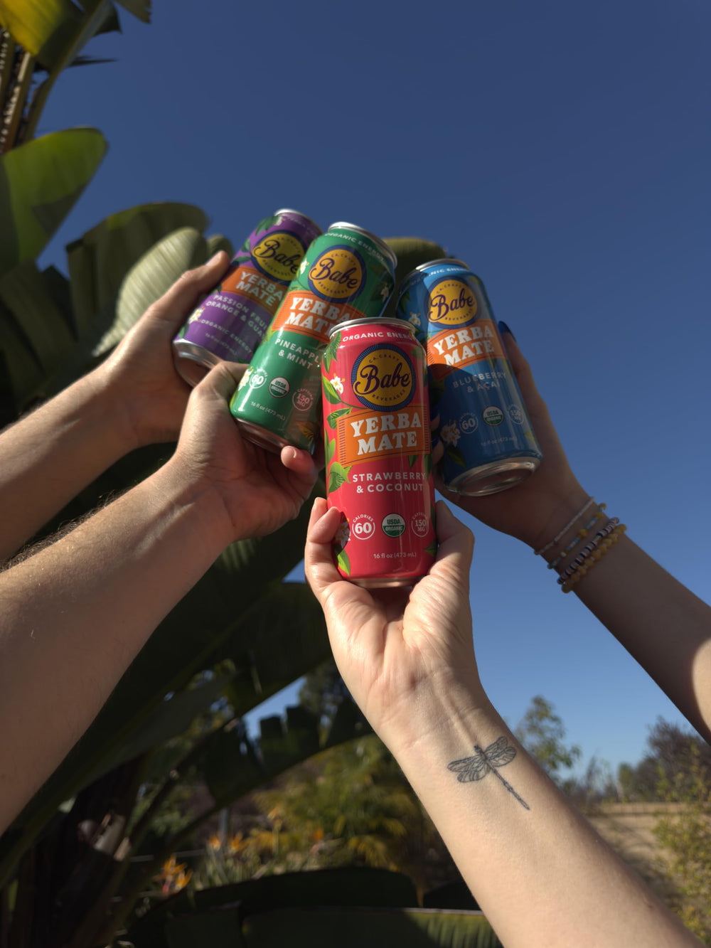 Babe Beverages lata en mano para mostrar escala, práctico para llevar
