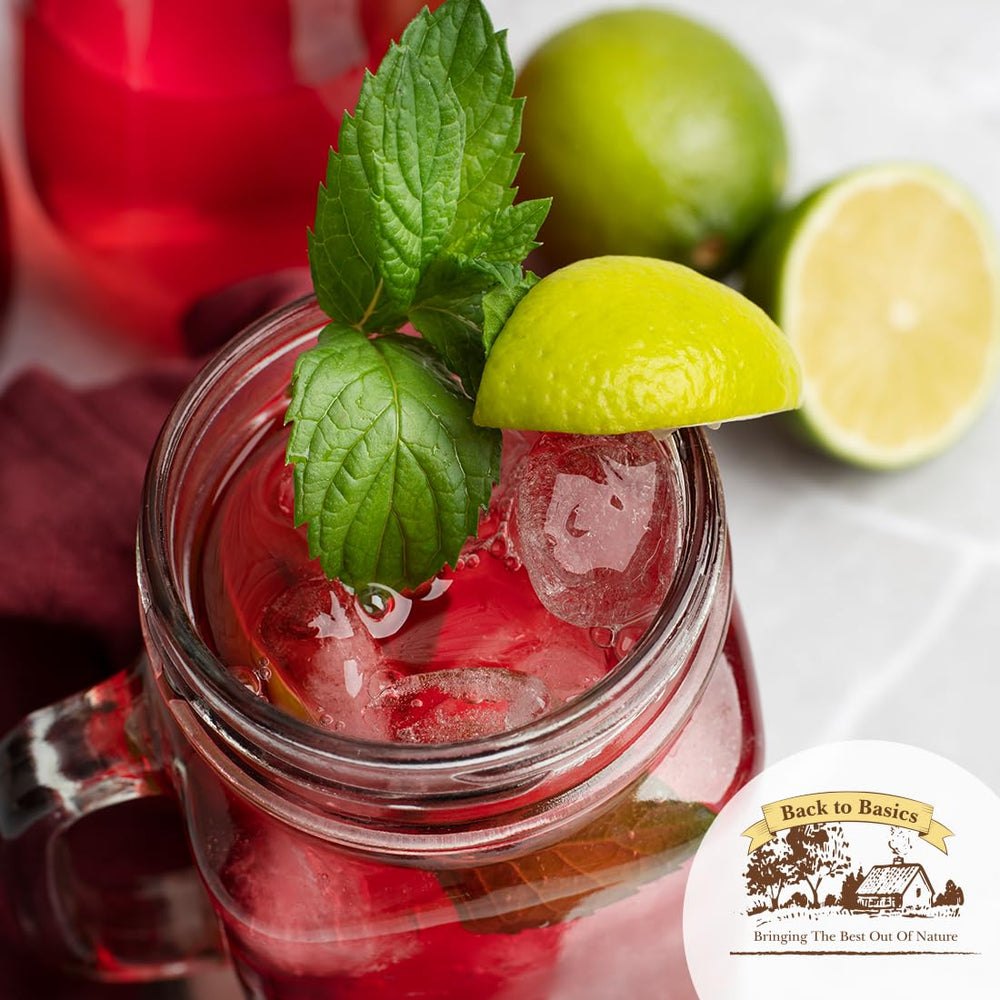 Back to Basics jarra cold brew sobre hielo refrescante