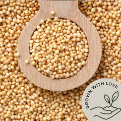 Be Still Farms primer plano de semillas de amaranto para apreciar textura