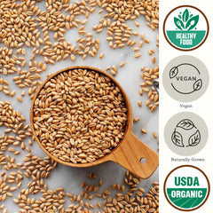 Be Still Farms granos cocidos en plato ilustrando uso culinario nutritivo