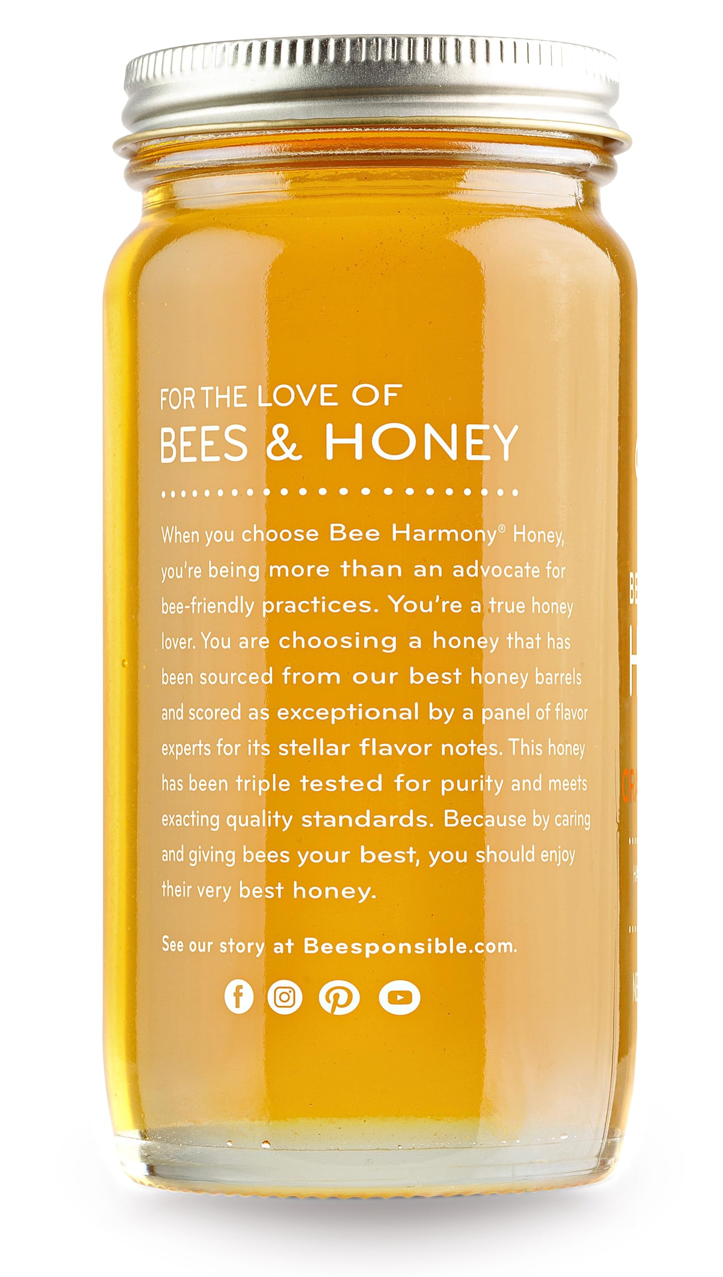 Bee Harmony apicultor en campo de naranjos ilustrando origen estadounidense