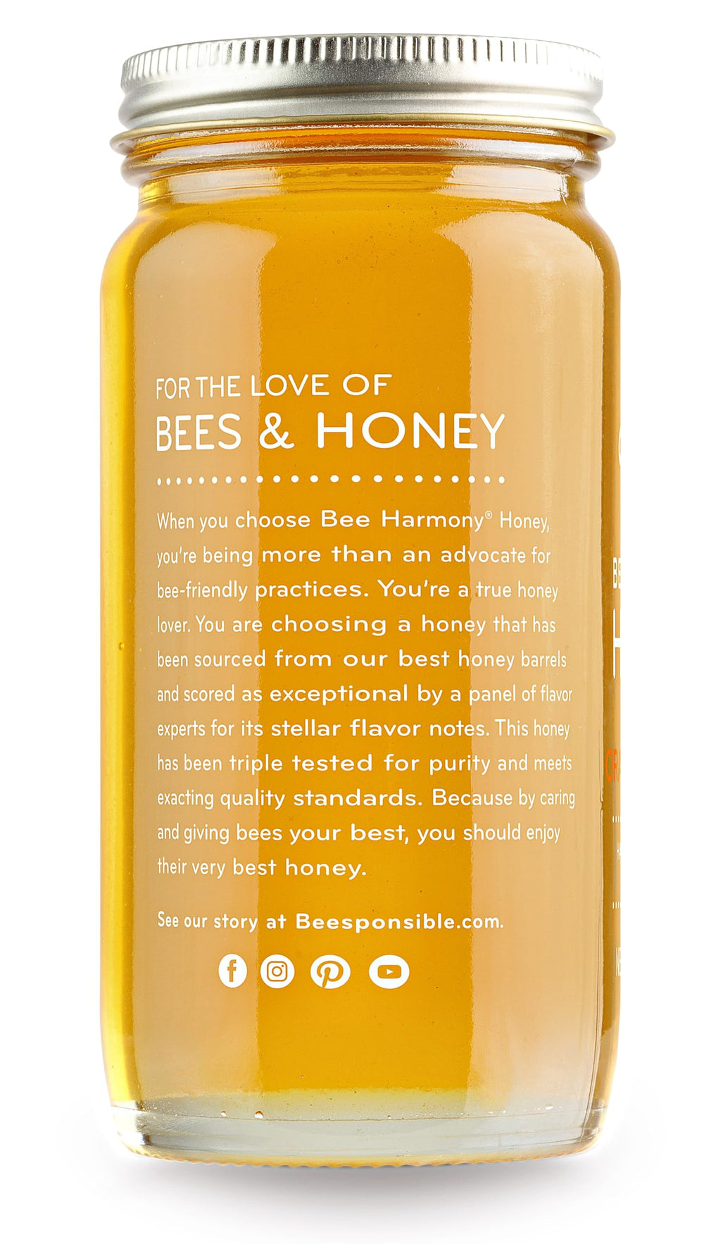 Bee Harmony apicultor en campo de naranjos ilustrando origen estadounidense