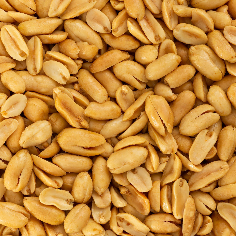 Belmont Peanuts comparación de tamaño en mano mostrando cacahuetes extra grandes