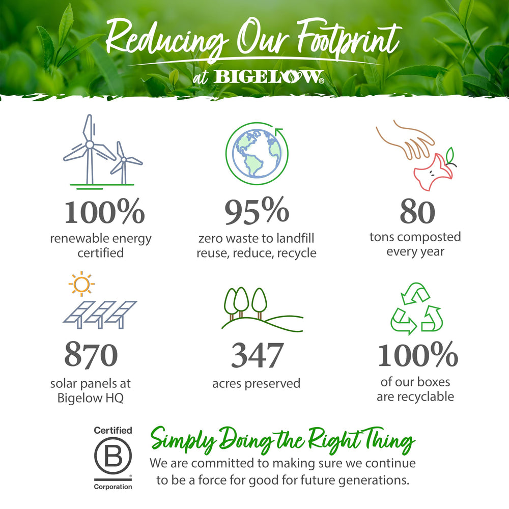 Bigelow Tea bolsita junto a una regla para comparar tamaño y porción práctica