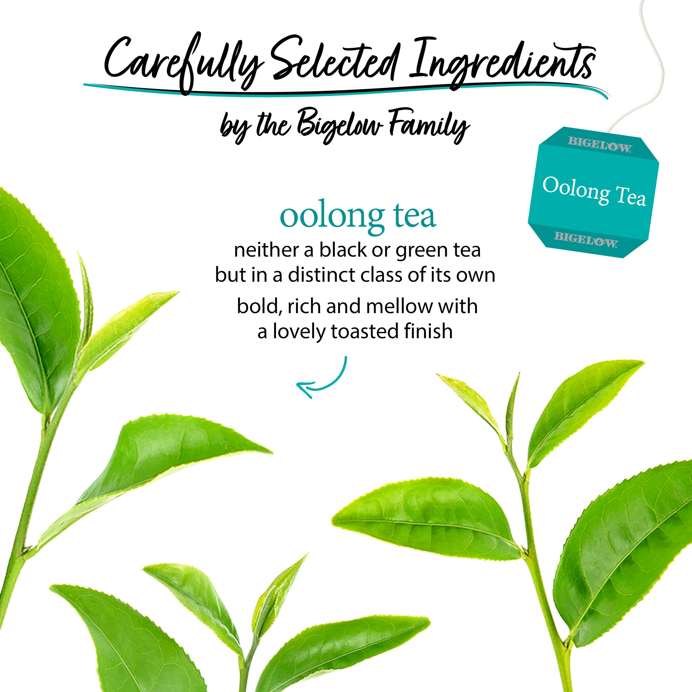 Bigelow Tea hojas de oolong en detalle, calidad y selección regional