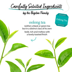 Bigelow Tea hojas de oolong en detalle, calidad y selección regional