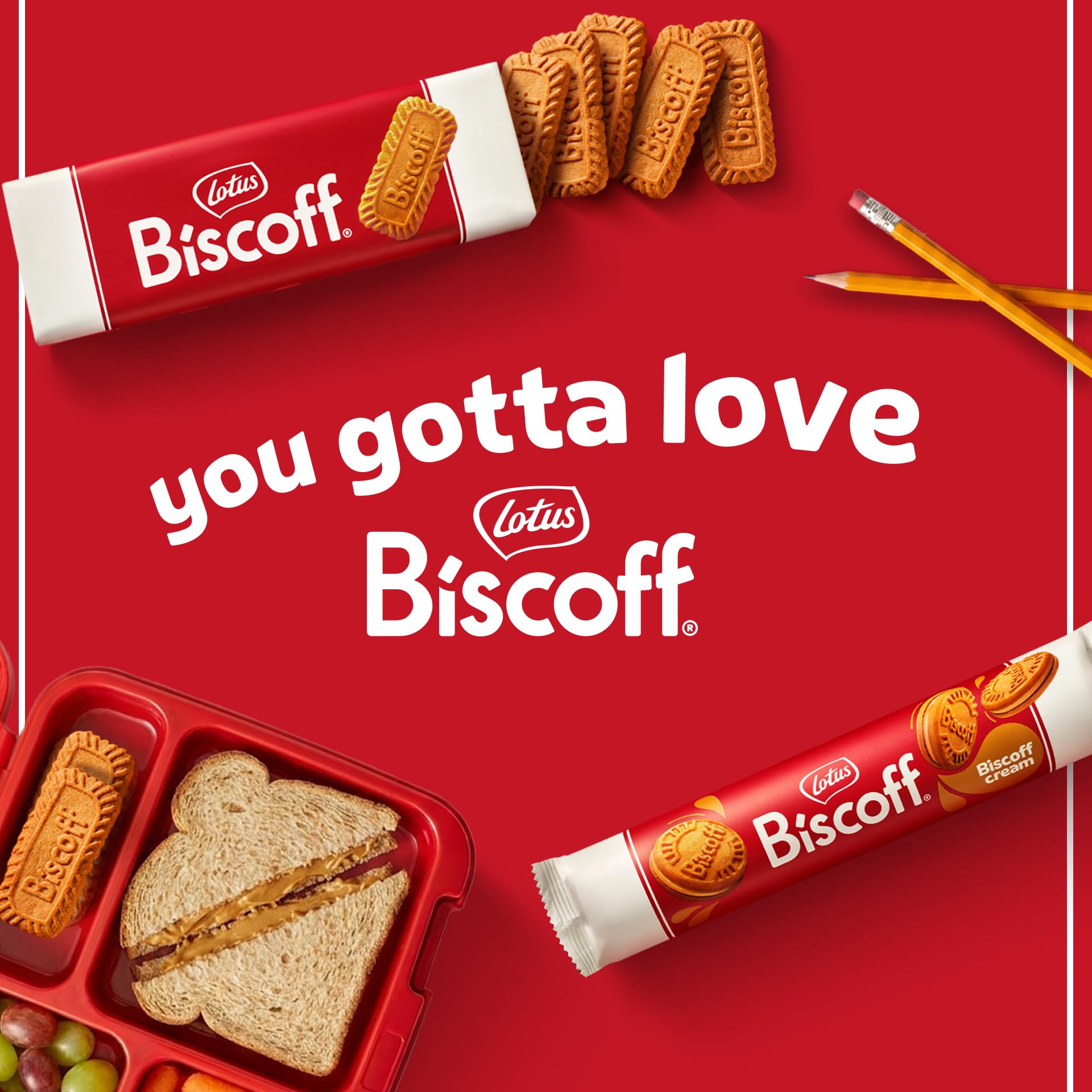 Lotus Biscoff galleta en mano para comparar tamaño y porción práctica