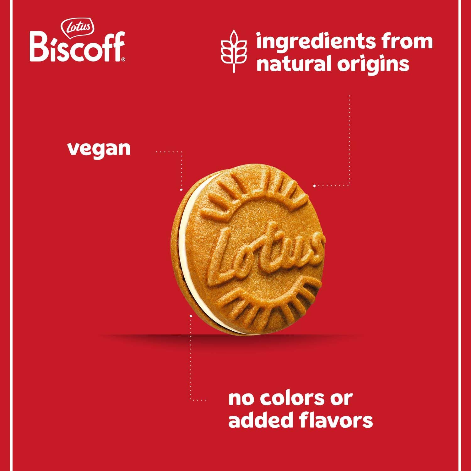 Lotus Biscoff corte que exhibe relleno de vainilla cremoso y uniforme