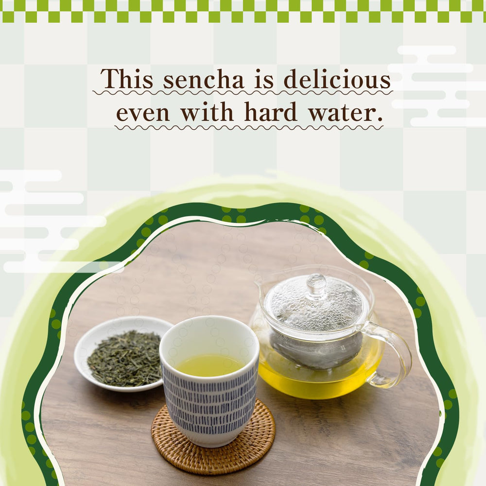 BJDesign HAJIME taza humeante de sencha listo para beber, sabor equilibrado