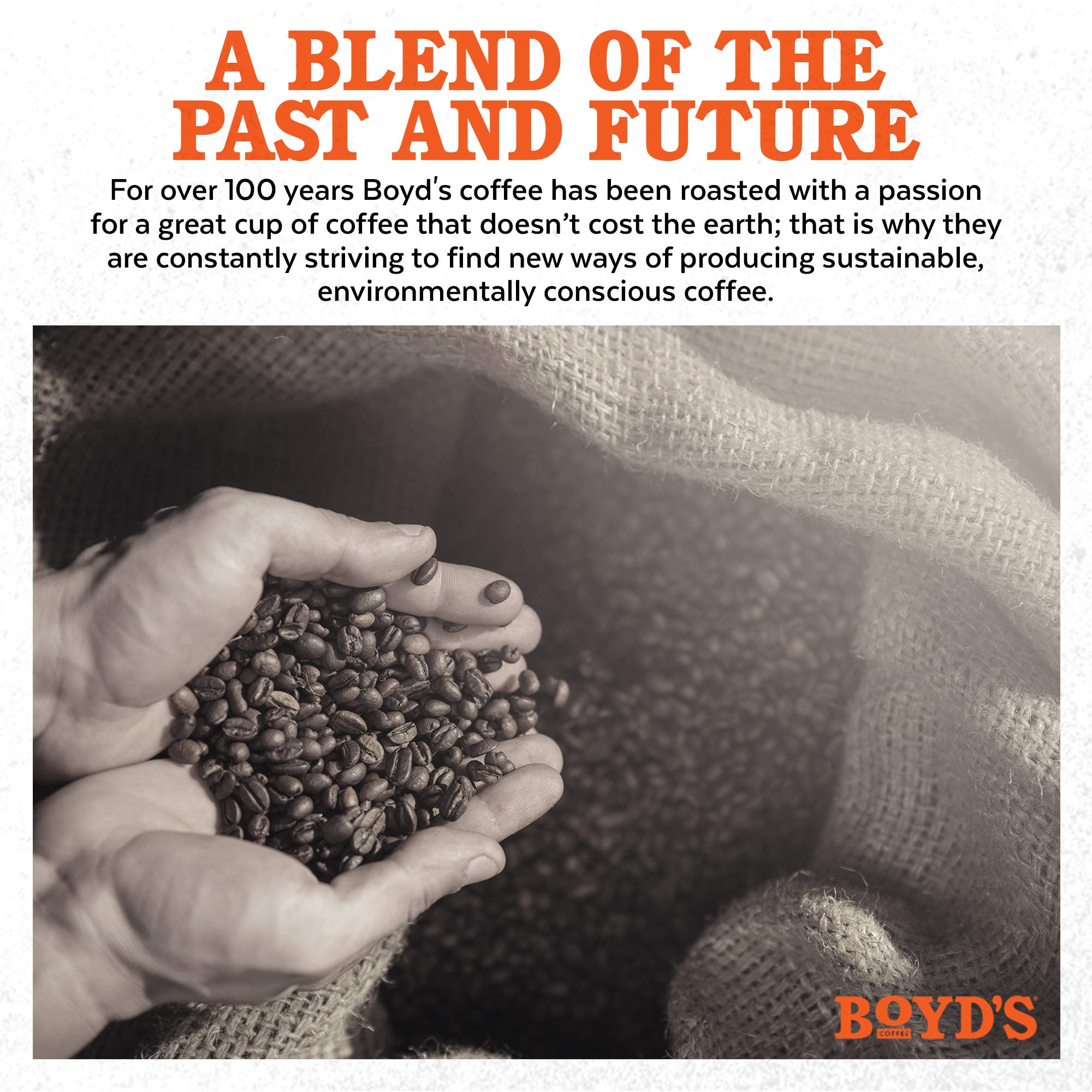 Boyd's Coffee taza lista mostrando crema y cuerpo satisfactorio
