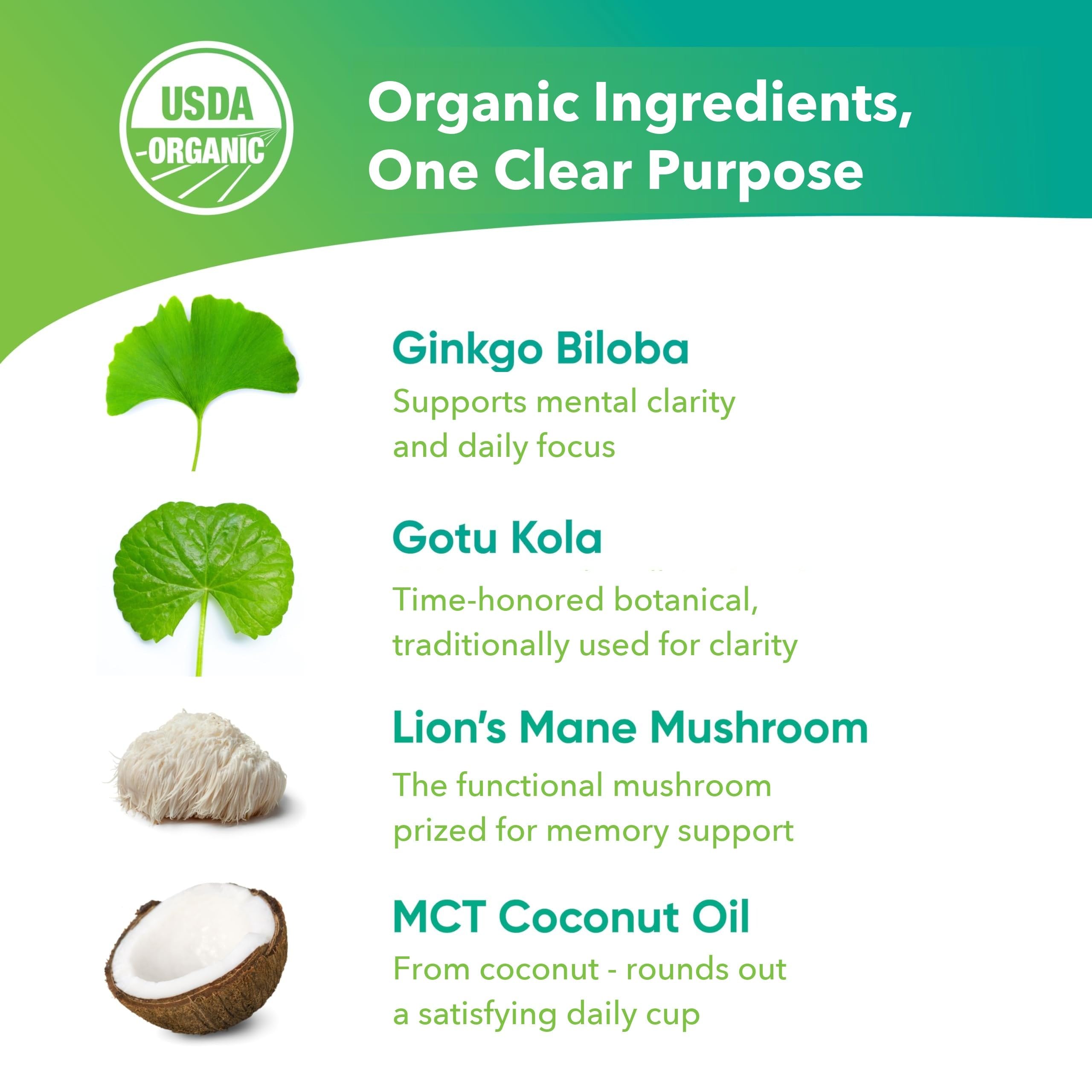 Brain Tea bolsita hecha de fibras vegetales sin plástico para infusión limpia