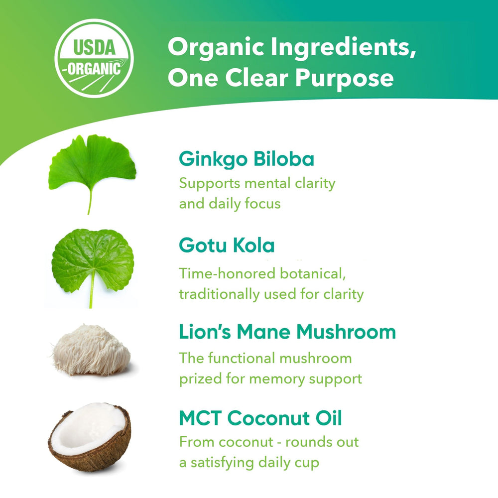Brain Tea bolsita hecha de fibras vegetales sin plástico para infusión limpia