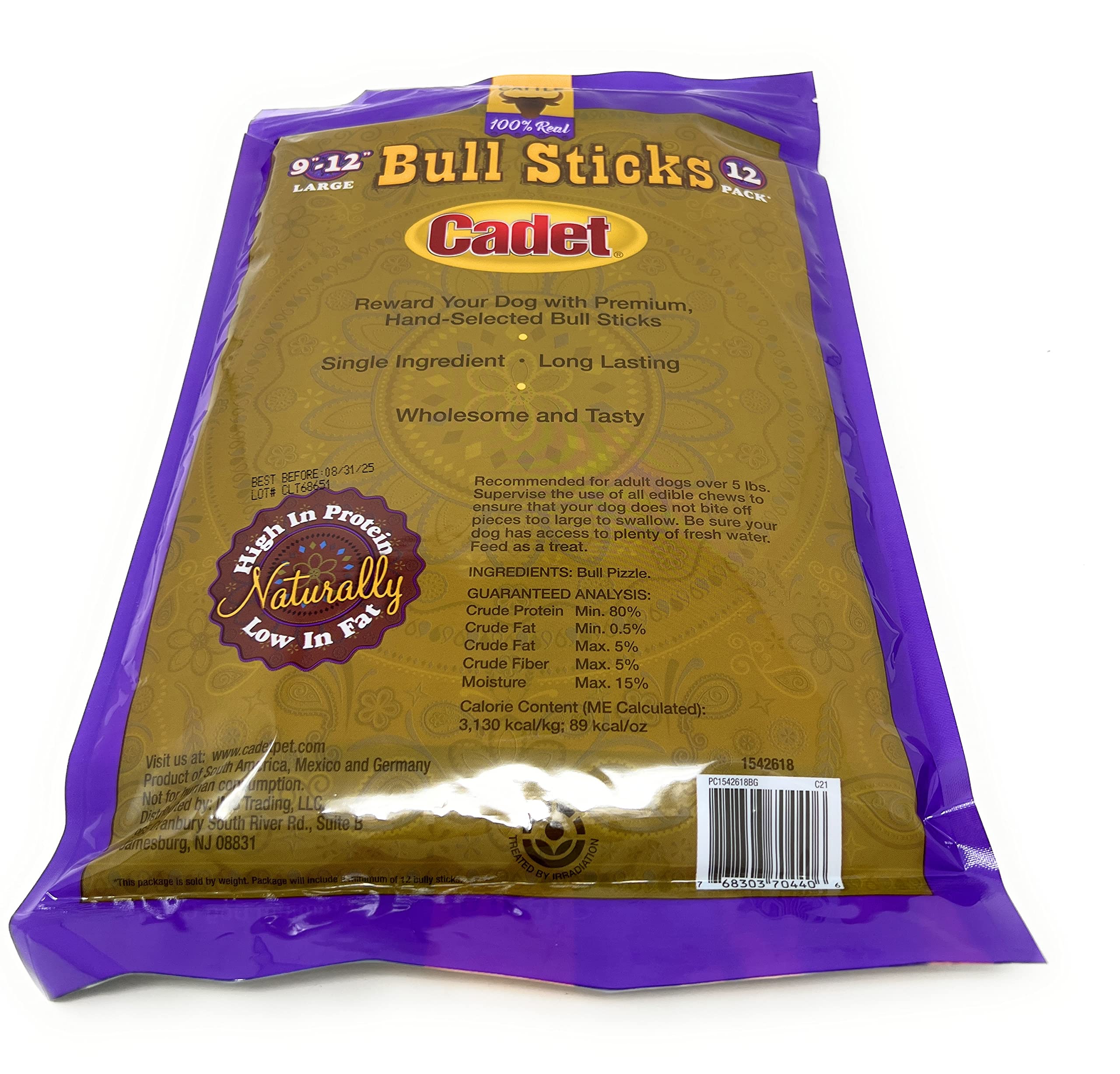 Cadet perro masticando bully stick demuestra entretenimiento y limpieza