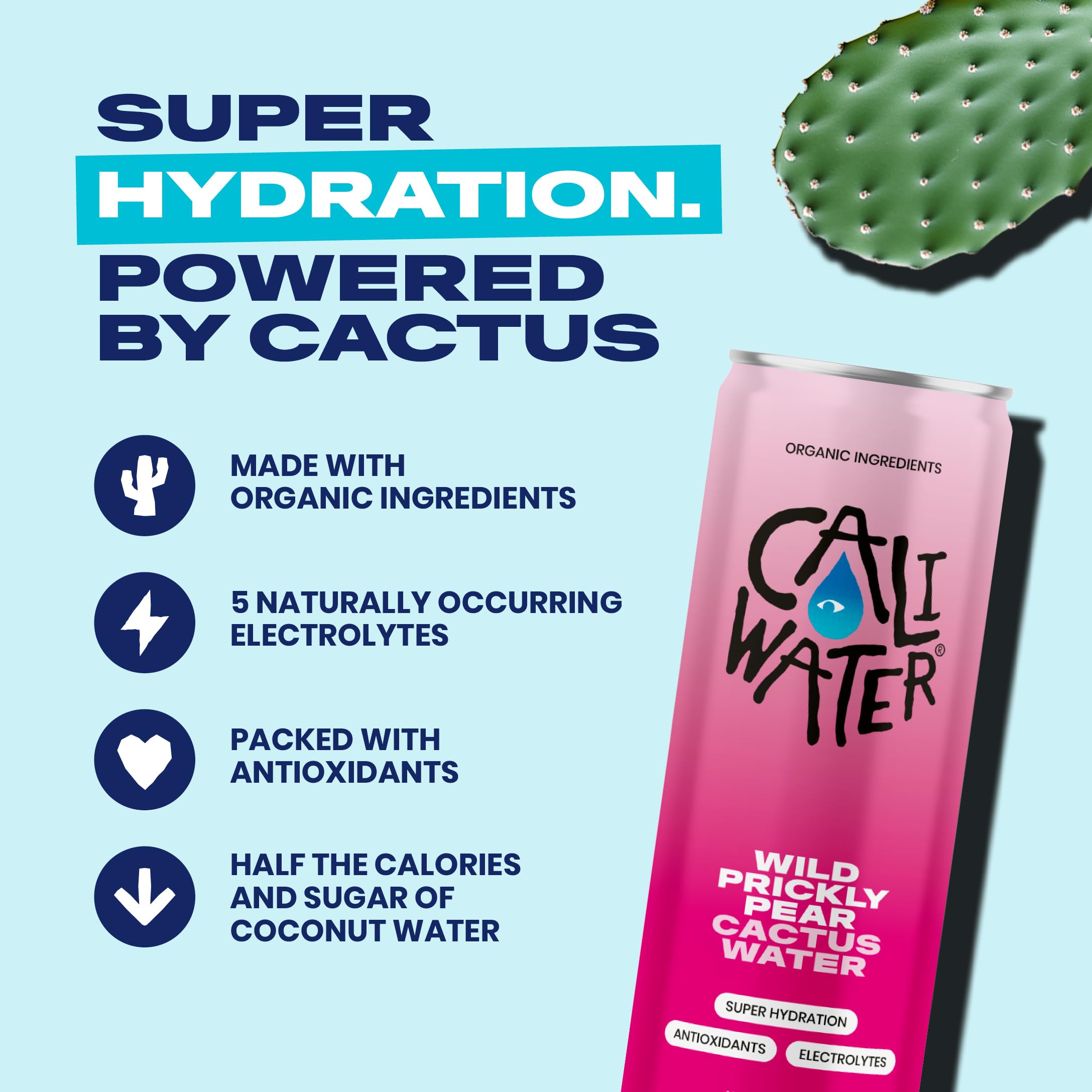 Caliwater textura de la pulpa de nopal en primer plano con riqueza antioxidante