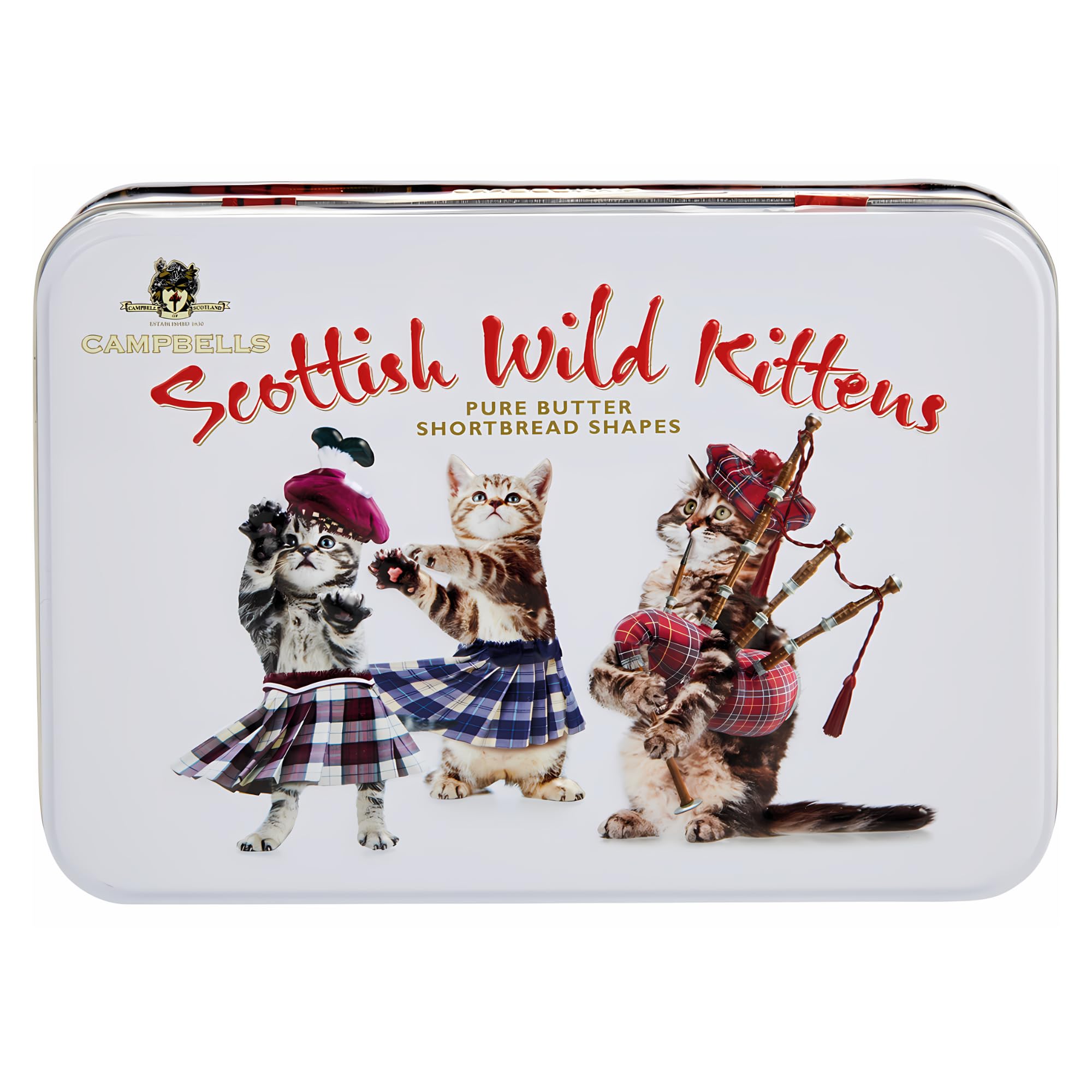 Campbells Shortbread primer plano de galleta mostrando textura desmenuzable y mantequilla