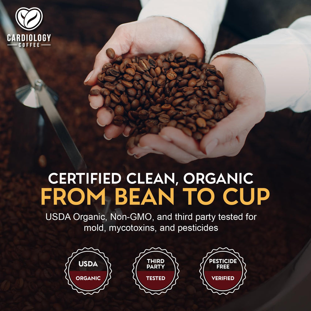 Cardiology Coffee prensa francesa en uso resaltando extracción limpia