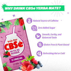 CBSé mate cebado en calabaza mostrando aroma frutal y disfrute tradicional