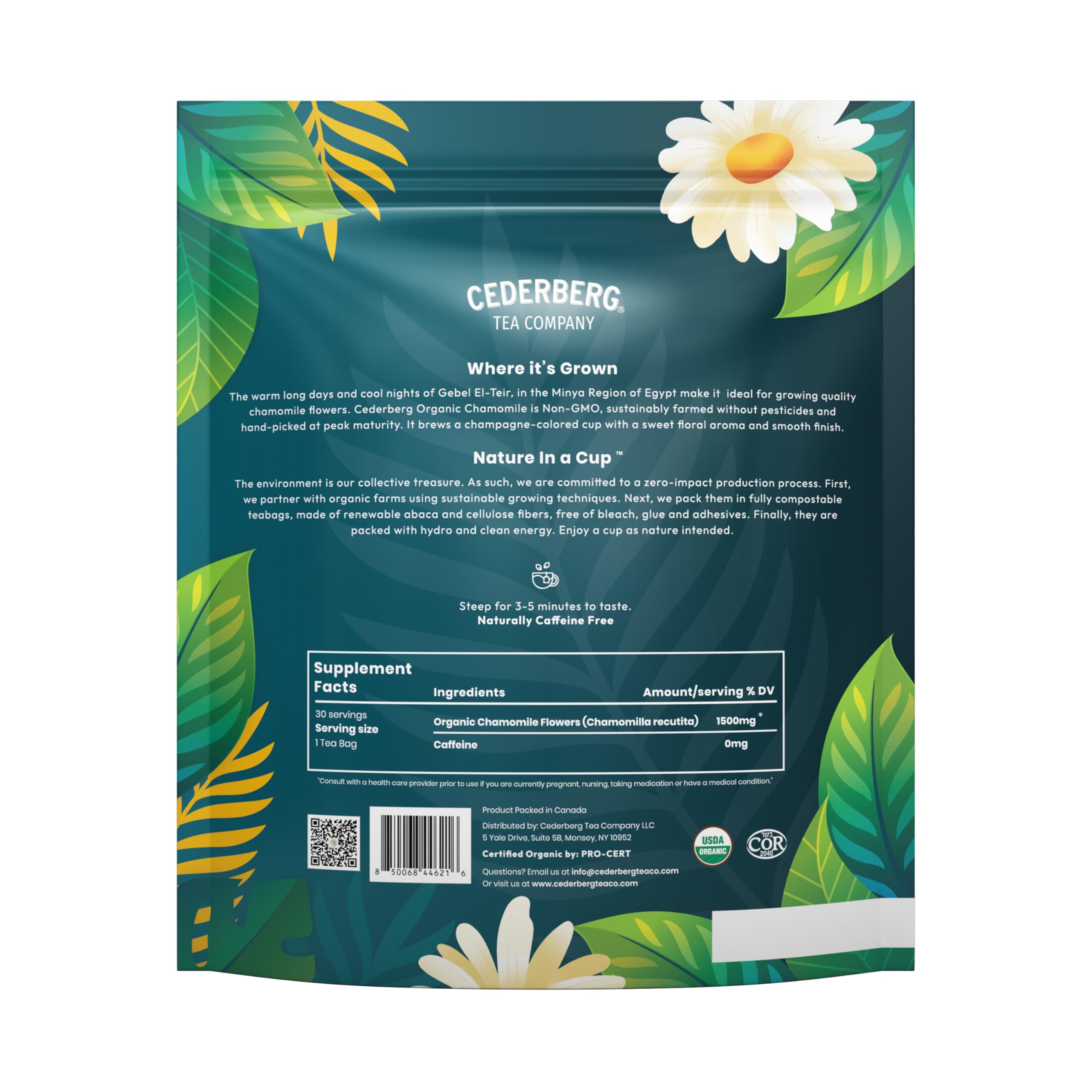 Comparación de tamaño con mano y paquete Cederberg Tea Company para visualizar porción