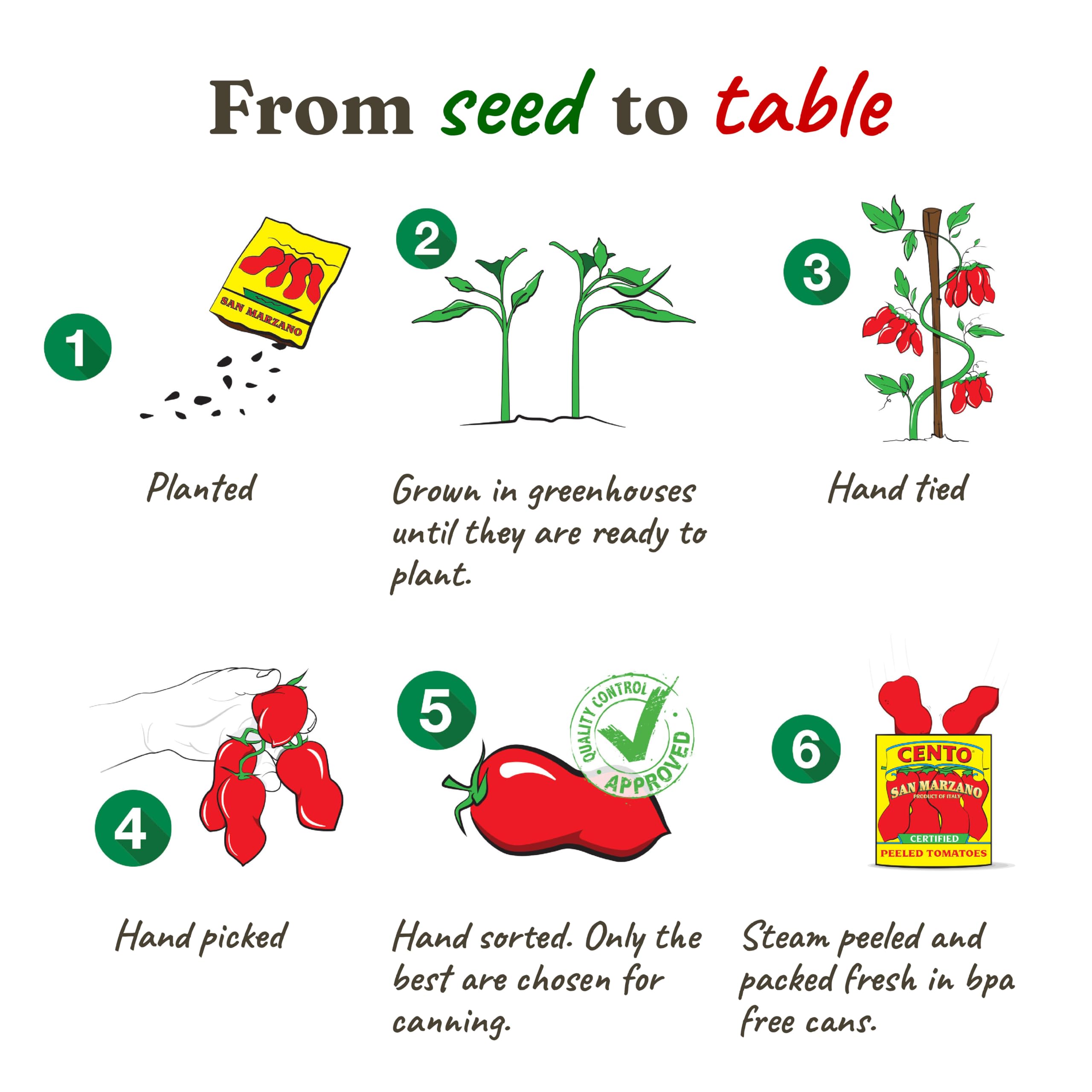 Cento campo Sarnese Nocerino donde crecen tomates con sabor tradicional