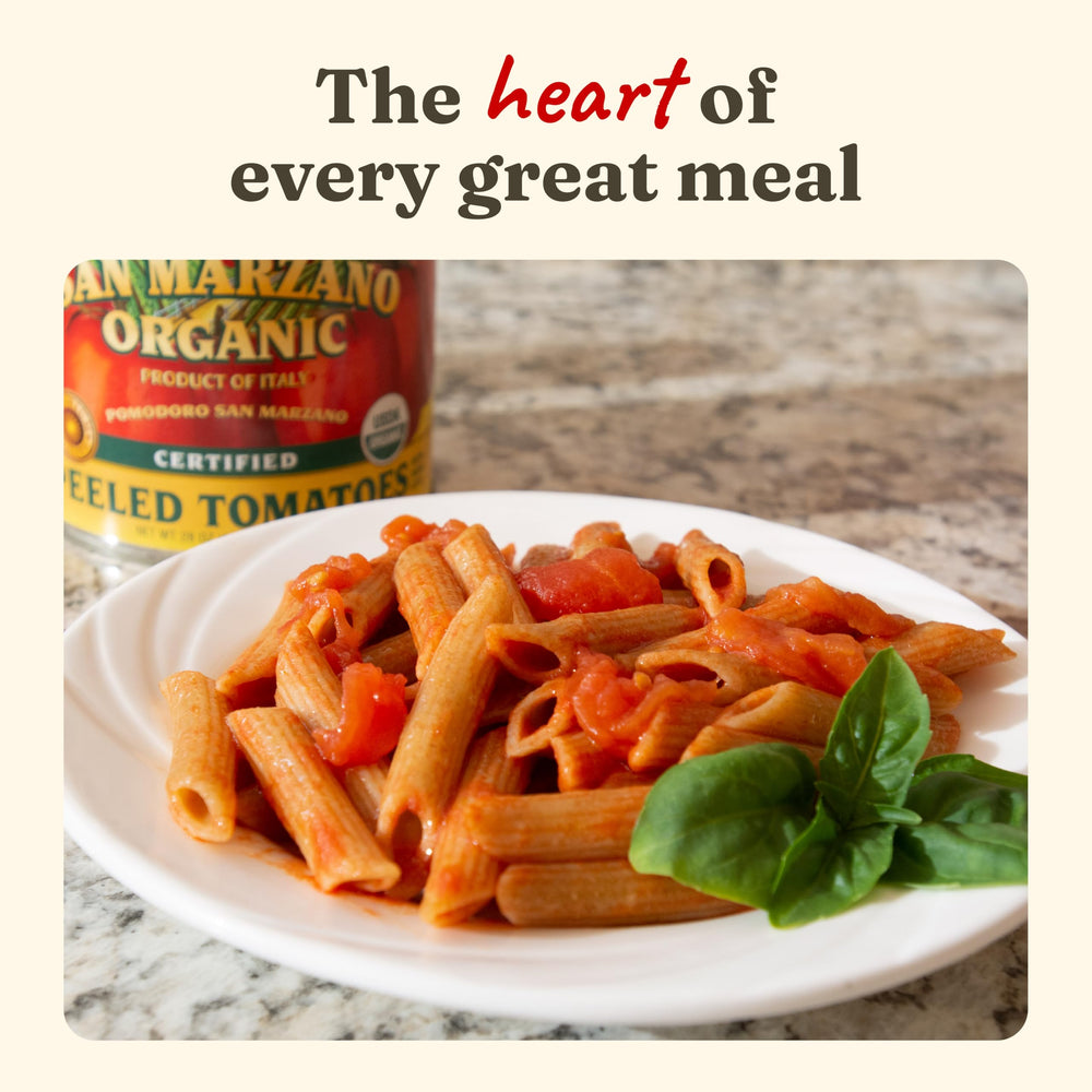 Cento jarra de salsa de pasta hecha con los tomates Cento para comidas caseras