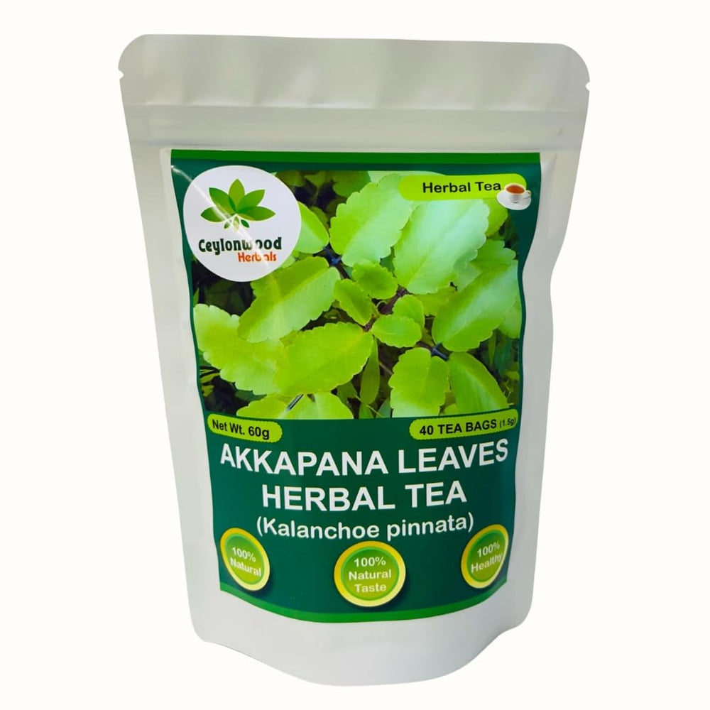 Ceylonwood Herbals hojas frescas de Kalanchoe pinnata en primer plano