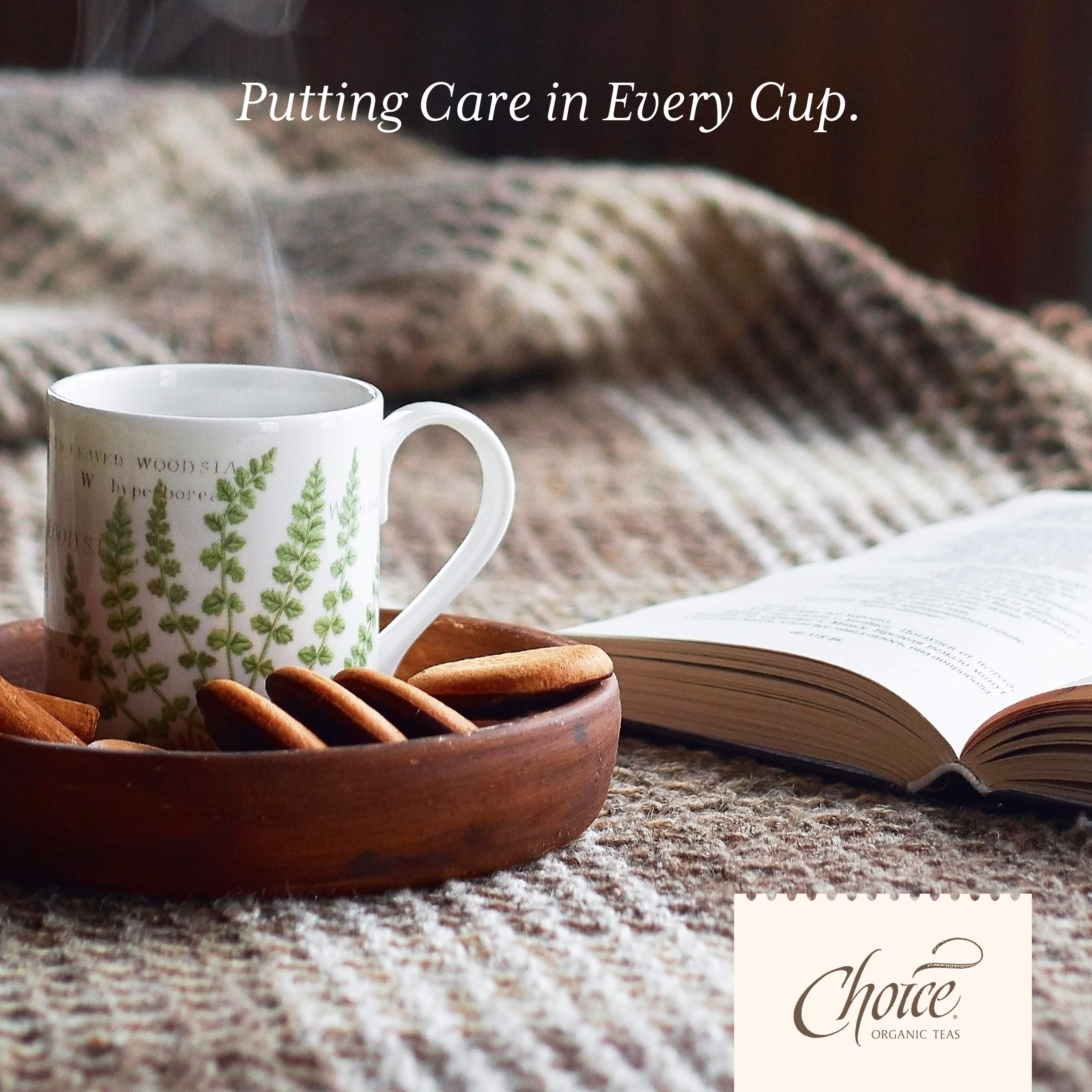 Choice Organic Teas mano sosteniendo bolsitas compostables, muestra conveniencia sostenible