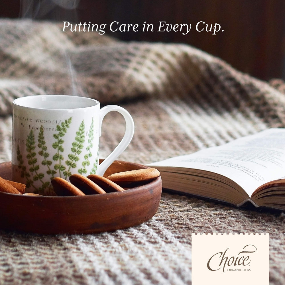 Choice Organic Teas mano sosteniendo bolsitas compostables, muestra conveniencia sostenible
