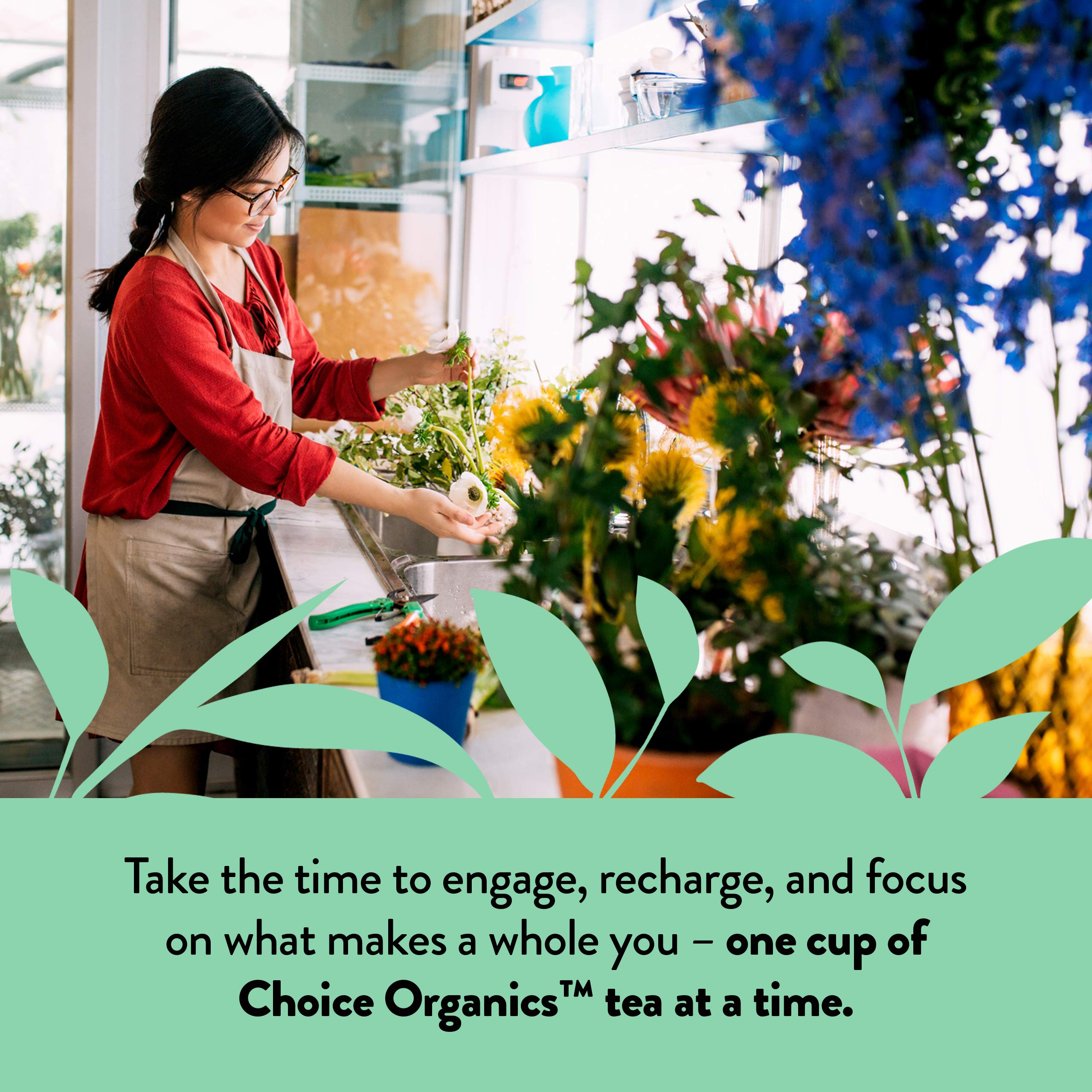 Choice Organic Teas comparación de tamaño junto a una taza para visualizar porciones