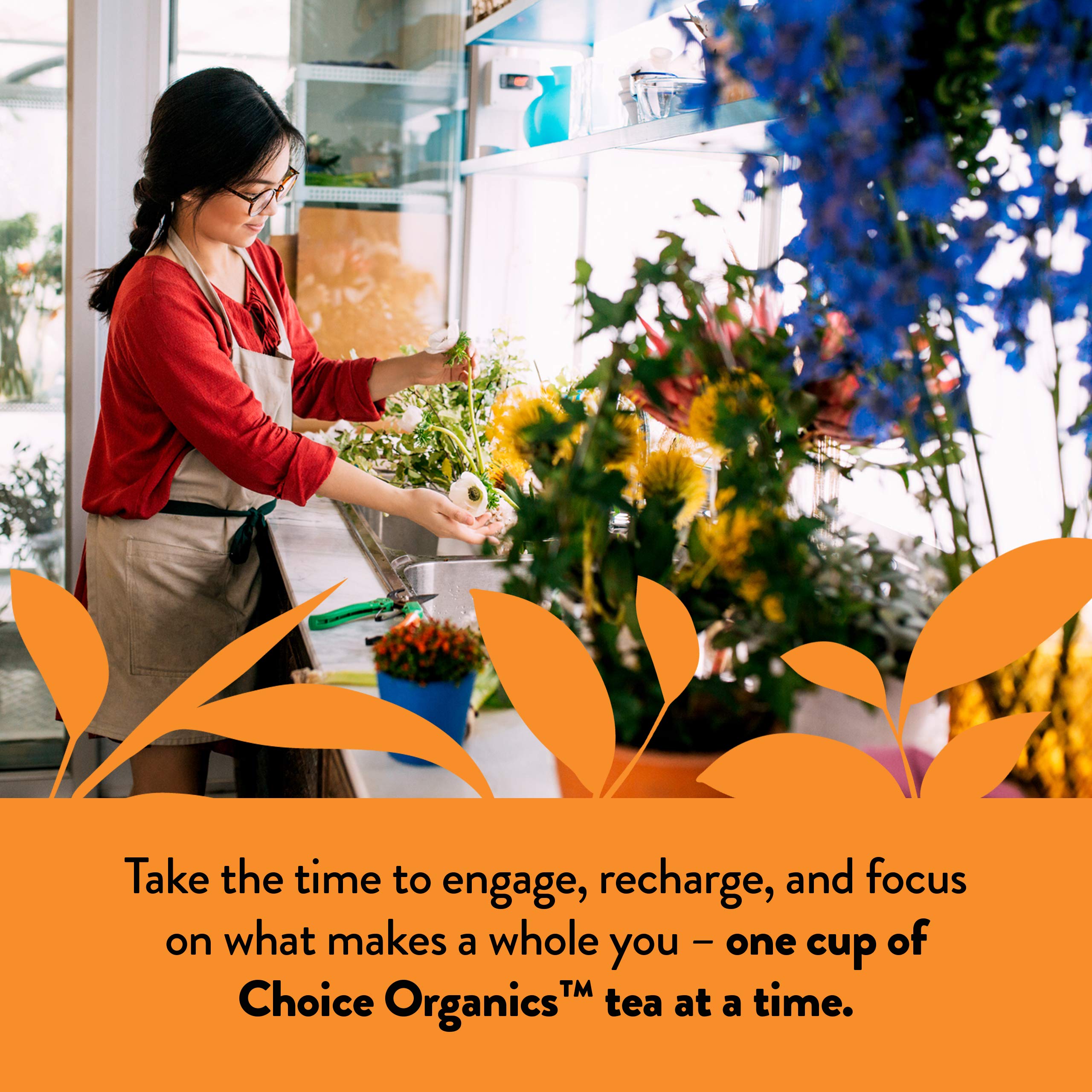 Choice Organic Teas embalaje de cartón 100% reciclado promoviendo cuidado ambiental