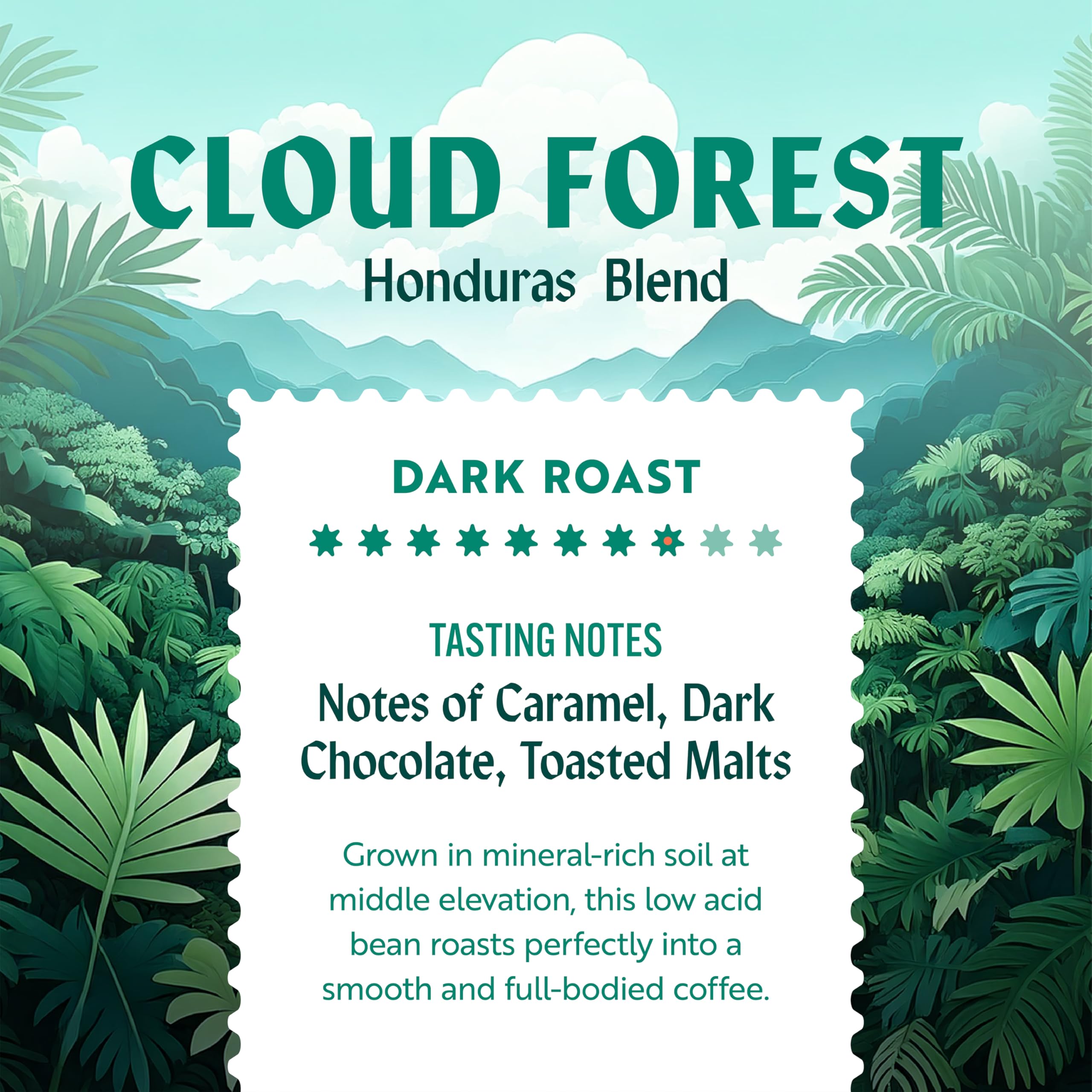 Clean Coffee Co bolsa de 12 oz en mano para comparar tamaño y porción