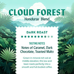 Clean Coffee Co bolsa de 12 oz en mano para comparar tamaño y porción