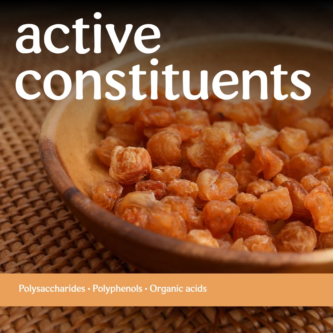 Clear Source longan comparación de tamaño junto a monedas para referencia y beneficio de porción controlada