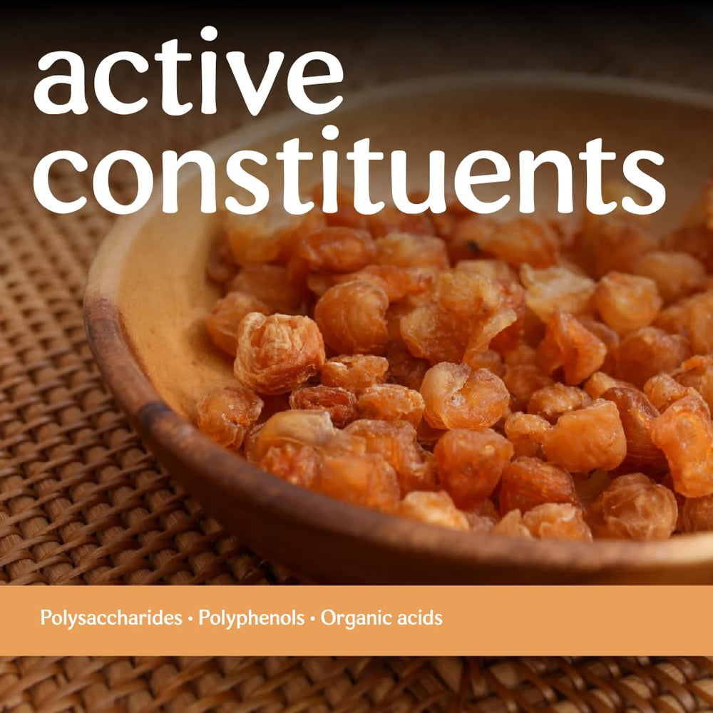 Clear Source longan comparación de tamaño junto a monedas para referencia y beneficio de porción controlada
