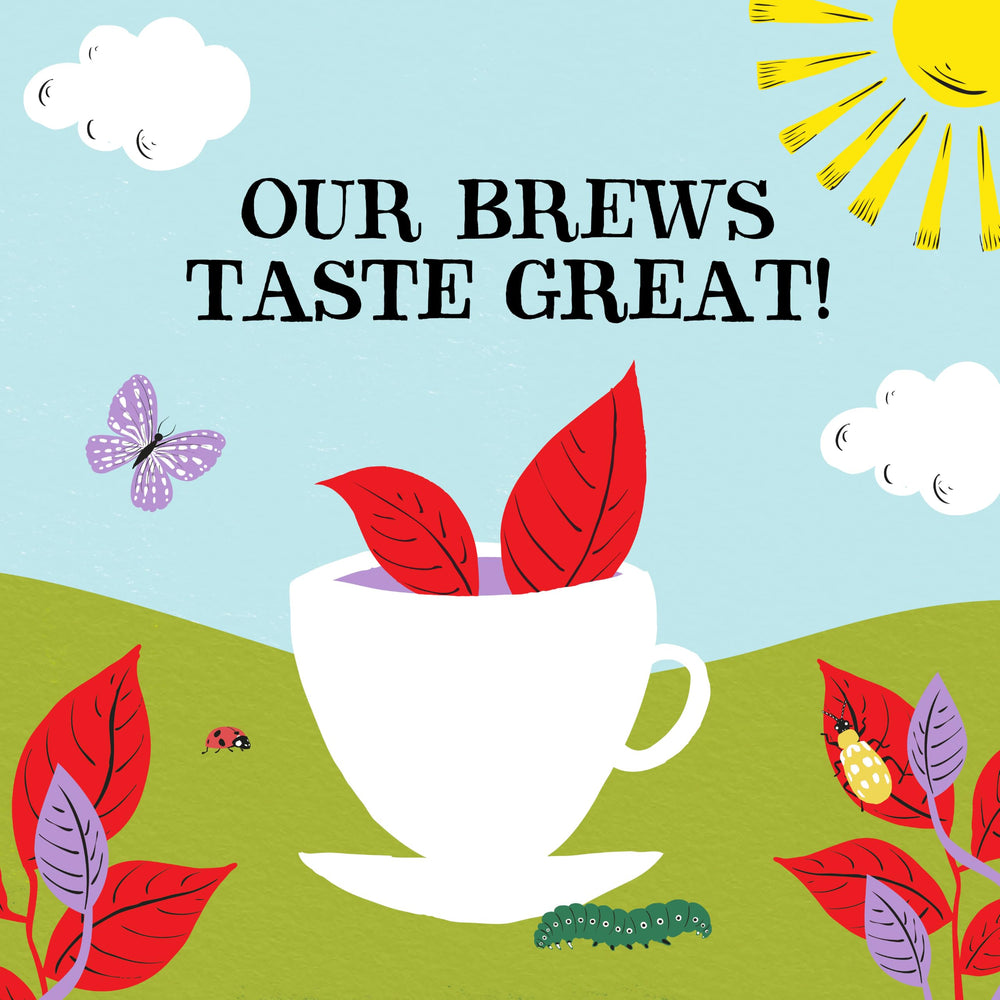 Clipper Tea envase abierto mostrando bolsitas listas para uso práctico